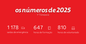 O primeiro trimestre de 2025 em números: um impacto real, todos os dias